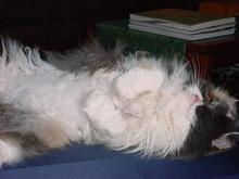 Dsc00295.jpg