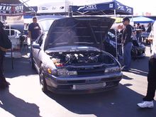 IMAG0274.JPG