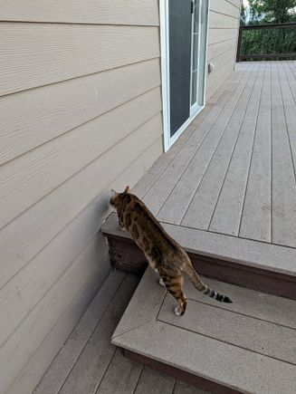 ^8-19-2023.  After the deck was fixed underneath so it wasn't pulling away from the house.