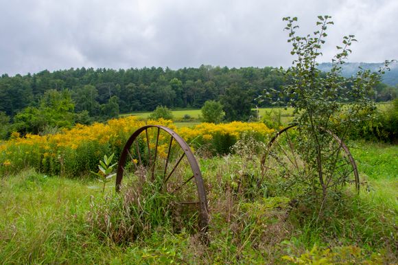 Wagon left on roadside