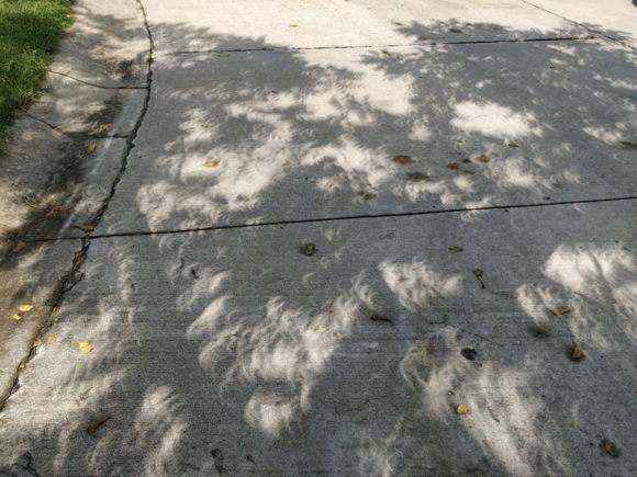 The ground dried up.  This was taken at 12:59PM.