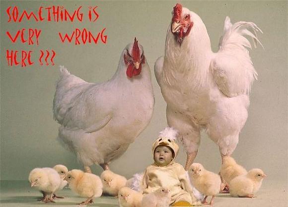 Something wrong.jpg