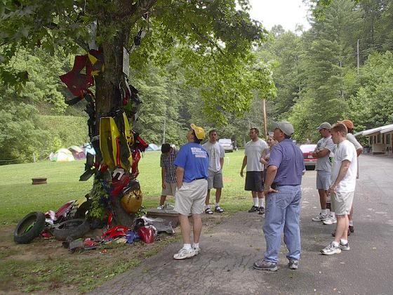 We added nothing to The Tree.jpg