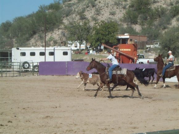 P1000691.jpg