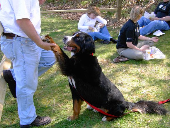The Dog 044.jpg