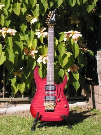 RG570pic.jpg