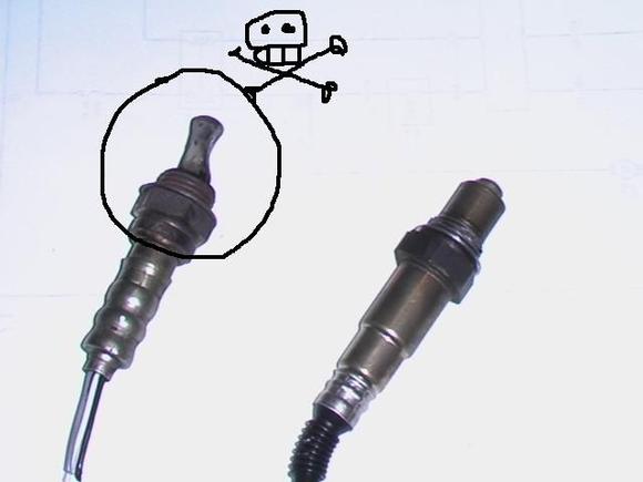 IMGA0278_01.jpg