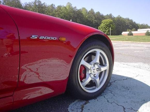 Ed Gs red calis 2.jpg
