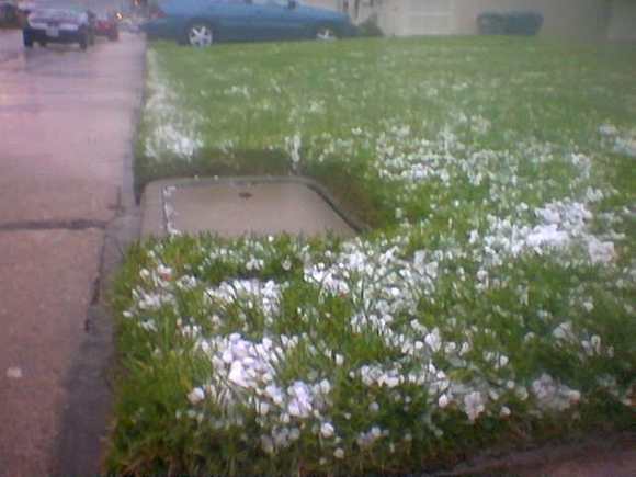 Bay Area Snow 2