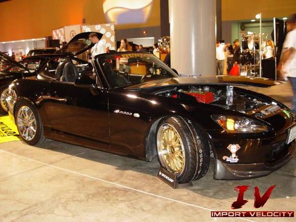 hin 03.jpg
