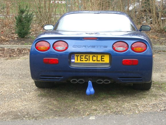 Danglies