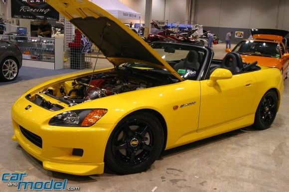 CARANDMODEL.jpg