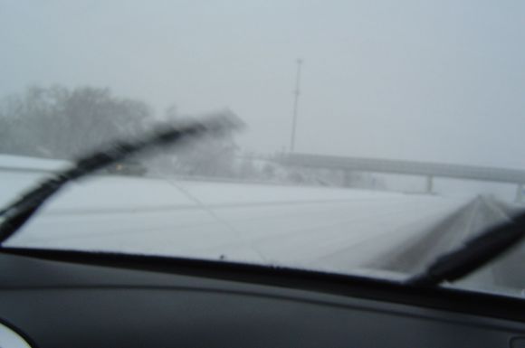 DSC00113.JPG