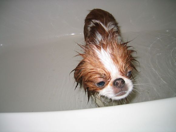 Bathtime