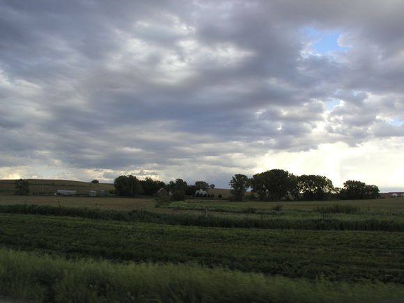 Iowa field4.jpg
