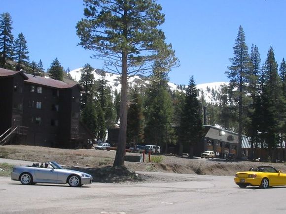 SacS2k4 056.jpg