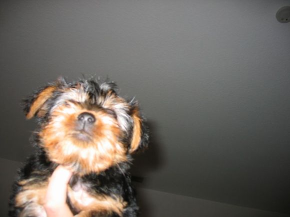 Picture 013.jpg