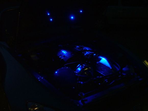 wanker lights 015.jpg