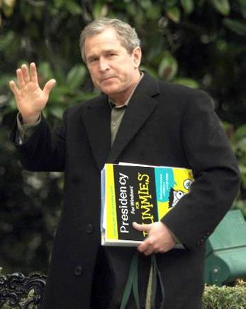 bush.jpg