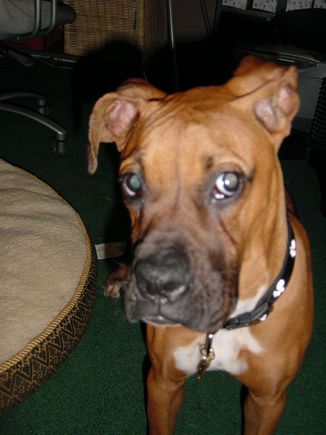 Picture 002.jpg