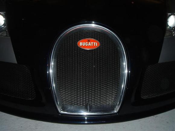 DSC06015 (Medium).JPG