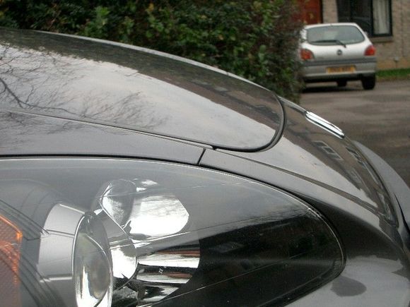 9 bonnet after cut.JPG