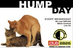humpday.jpg