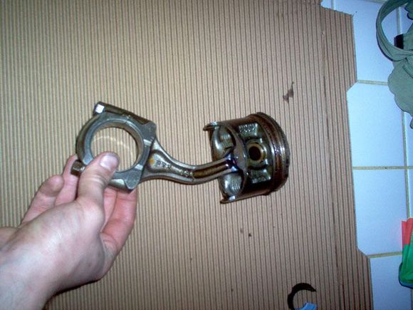 IM000953-small.jpg