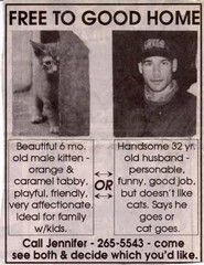 Cat or Husband
