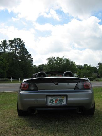 Wing2.jpg