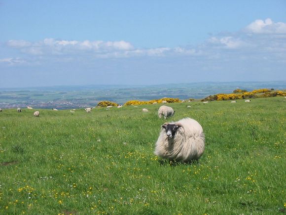 IMG 054.jpg