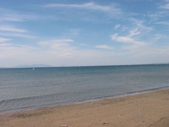IMG 008.jpg