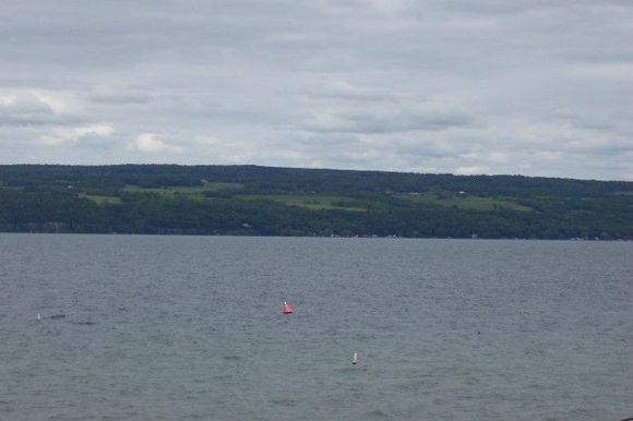 100_0168.jpg