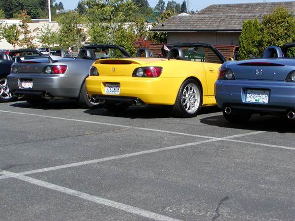 half represented 2.jpg
