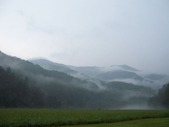 20060819 031.jpg
