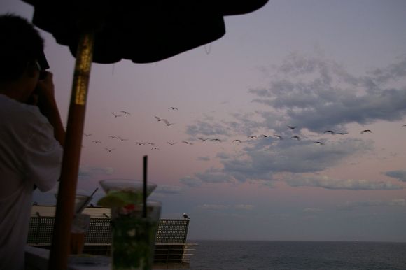 moonshine059.jpg
