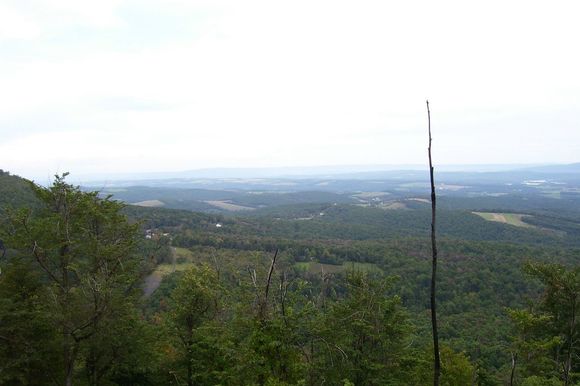 100_0286.jpg
