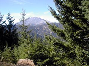 MT ST HELENS THROUGH THE TREES.jpg