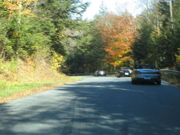 IMG_0411.JPG