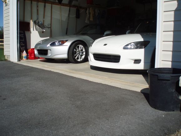The Beasts in wait....