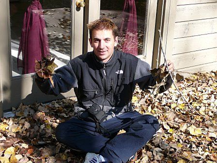 more leaves.jpg