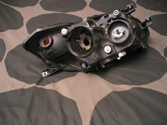 IMG_7508 (Small).JPG