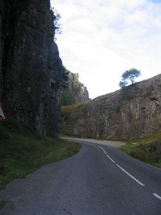 road1.jpg