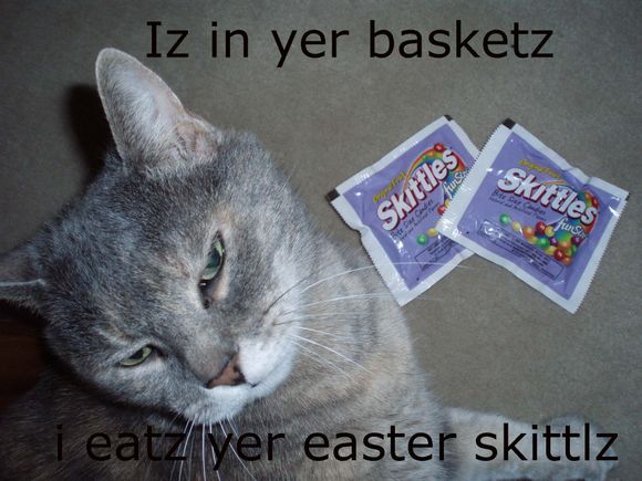 skittlz.jpg