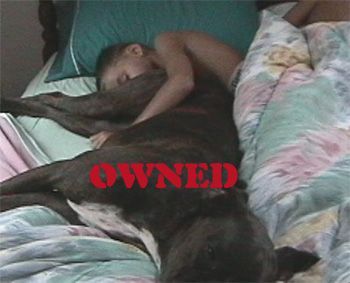 owneddog.jpg