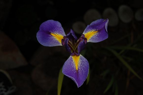 DSC_00242389.JPG
