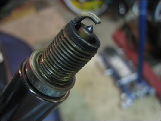 motor-IMG_1101.jpg