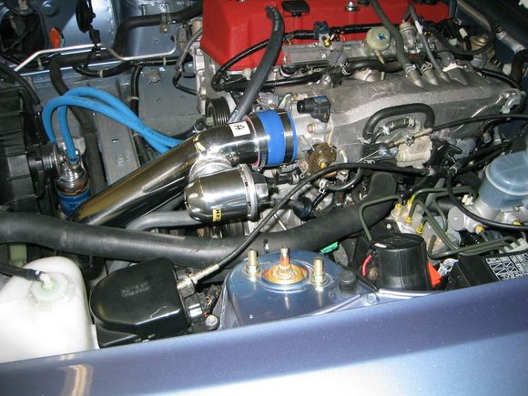 BOV.jpg