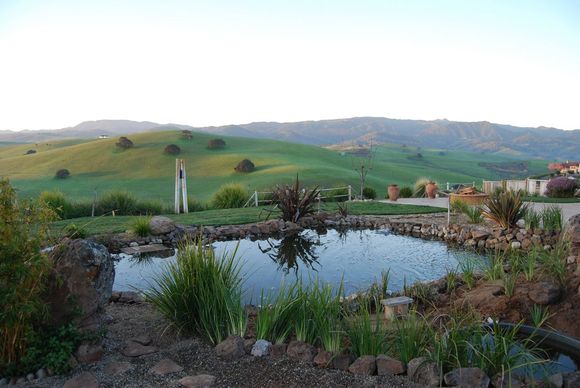 Pond Makeover 2008-03-04_5.JPG