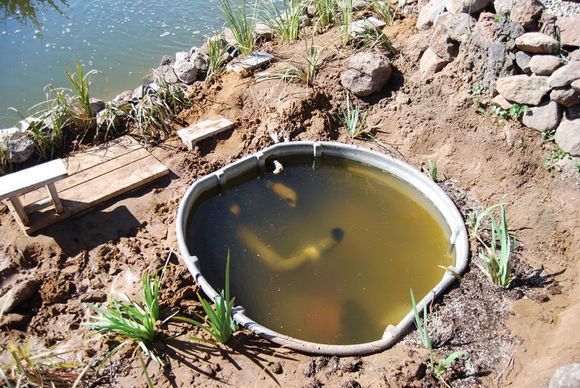 Pond Makeover 2008-03-08_10.JPG